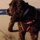 MY DREAM BECAME A REALITY