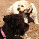 TERRY YOU THINK OF EVERYTHING