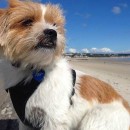 THE BEST DECISION WE EVER MADE