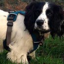 TERRY IS A WONDERFUL WARM AND CARING GUY