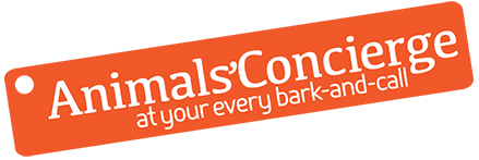 Animals Concierge | Dog Walking | Jersey UK | Animals Care Services